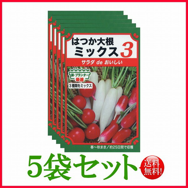 【5袋割引セット♪】【全国送料無料】はつか大根ミックス　3/ トーホク 野菜 ハーブ 草花 園芸 栽培 肥料 家庭菜園 球根 苗 種まき 種子 たね 植物 ガーデニング じょうろ フタバ種苗 サカタのタネ タキイ★在庫がある商品のみ12時（土日祝を除く）までのご注文で当日出荷