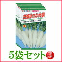 【5袋割引セット♪】【全国送料無料】白姫はつか大根/ トーホク 野菜 ハーブ 草花 園芸 栽培 肥料 家庭菜園 球根 苗 種まき 種子 たね タネ 植物 ガーデ...