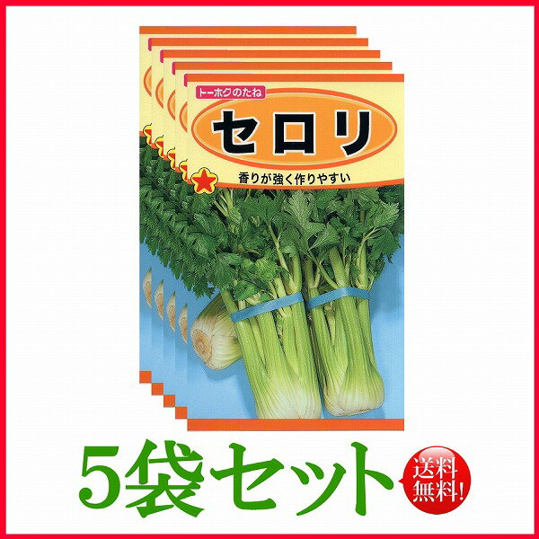 【5袋割引セット♪】【全国送料無料】セロリ / トーホク 野菜 ハーブ 草花 園芸 栽培 肥料 家庭菜園 球根 苗 種まき 種子 たね タネ 植物 ガーデニング ポット じょうろ 松永 フタバ種苗 サカタのタネ タキイ★在庫がある商品のみ12時（土日祝を除く）までのご注文で当日出荷