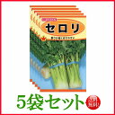 【5袋割引セット♪】【全国送料無料】セロリ / トーホク 野菜 ハーブ 草花 園芸 栽培 肥料 家庭菜園 球根 苗 種まき 種子 たね タネ 植物 ガーデニング...