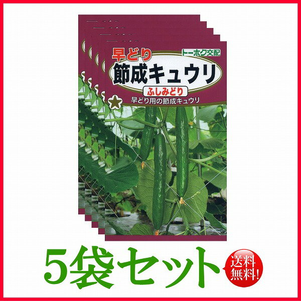 【5袋割引セット 】【全国送料無料】早どり 節成キュウリ ふしみどり きゅうり/ トーホク 野菜 ハーブ 草花 園芸 栽培 肥料 家庭菜園 球根 苗 種まき 種子 たね タネ 植物 ガーデニング ポット…