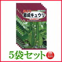 【5袋割引セット♪】【全国送料無料】早どり 節成キュウリ ふしみどり きゅうり/ トーホク 野菜 ハーブ 草花 園芸 栽培 肥料 家庭菜園 球根 苗 種まき 種子 たね タネ 植物 ガーデニング ポット じょうろ ★在庫がある商品のみ12時(土日祝を除く)までのご注文で当日出荷