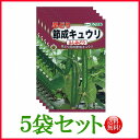 【5袋割引セット♪】【全国送料無料】早どり　節成キュウリ　ふしみどり　きゅうり/ トーホク 野菜 ハーブ 草花 園芸 栽培 肥料 家庭菜園 球根 苗 種まき 種子 たね タネ 植物 ガーデニング ポット じょうろ ★在庫がある商品のみ12時（土日祝を除く）までのご注文で当日出荷