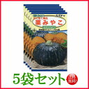 【5袋割引セット♪】【全国送料無料】カボチャ ほくほく南瓜 栗みやこ 甘太 / トーホク 野菜 ハーブ 草花 園芸 栽培 肥料 家庭菜園 球根 苗 たね タネ ...