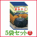 カボチャ ほくほく南瓜 栗みやこ 甘太　/ トーホク 野菜 ハーブ 草花 園芸 栽培 肥料 家庭菜園 球根 苗 たね タネ 植物 ガーデニング フタバ種苗 サカタのタネ タキイ★在庫がある商品のみ12時（土日祝を除く）までのご注文で当日出荷