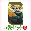 【5袋割引セット♪】【全国送料無料】カボチャ おいしい南瓜 あずまえびす 黒福 / トーホク 野菜 ハーブ 園芸 栽培 肥料 家庭菜園 苗 種まき たね タネ ガーデニング フタバ種苗 サカタのタネ タキイ ★在庫がある商品のみ12時(土日祝を除く)までのご注文で当日出荷