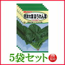 【5袋割引セット♪】【全国送料無料】西洋大葉ほうれん草 ハンブルグ/ トーホク 野菜 ハーブ 草花 園芸 栽培 肥料 家庭菜園 球根 苗 種まき 種子 たね ガ...
