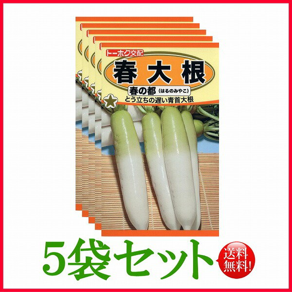 【5袋割引セット♪】【全国送料無料】春大根 春の都 / トーホク 野菜 ハーブ 草花 園芸 栽培 肥料 家庭菜園 球根 苗 種まき 種子 ガーデニング 培養土 じょうろ 松永種苗 フタバ種苗 サカタのタネ タキイ種苗★在庫がある商品のみ12時（土日祝を除く）までのご注文で当日出荷