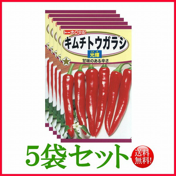 キムチトウガラシ 光輝（こうき）/ トーホク 野菜 ハーブ 草花 園芸 栽培 肥料 家庭菜園 球根 苗 種まき たね ガーデニング 松永種苗 フタバ種苗 サカタのタネ タキイ★在庫がある商品のみ12時（土日祝を除く）までのご注文で当日出荷