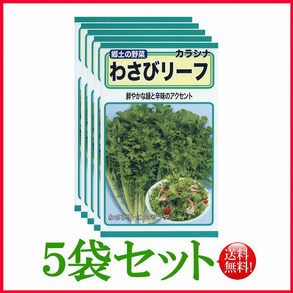 【5袋割引セット♪】【全国送料無料】わさびリーフ / トーホク 野菜 ハーブ 草花 園芸 栽培 肥料 家庭菜園 球根 苗 種まき 種子 たね タネ 植物 ガーデニング 培養土 フタバ種苗 サカタのタネ タキイ種苗 ★在庫がある商品のみ12時（土日祝を除く）までのご注文で当日出荷