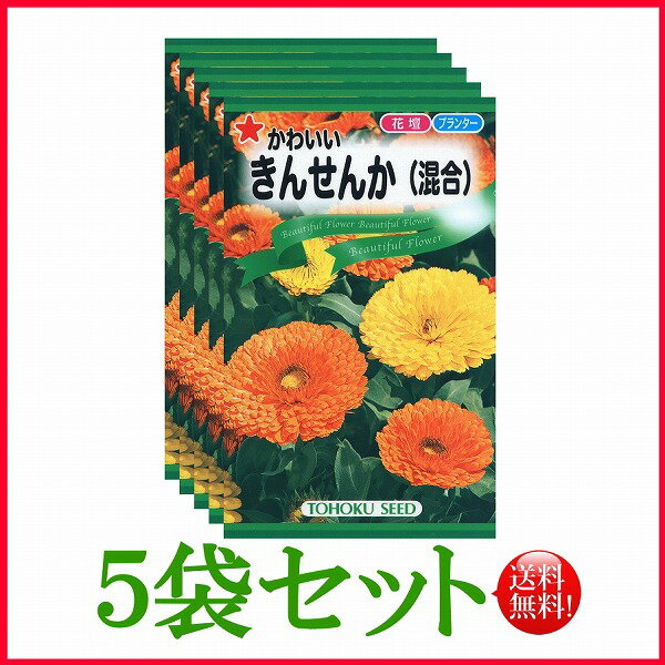 【5袋割引セット 】【全国送料無料】 かわいいきんせんか 混合 / トーホク 野菜 ハーブ 草花 園芸 栽培 肥料 家庭菜園 球根 苗 種まき 種子 ガーデニング ポット 松永種苗 フタバ サカタのタネ…