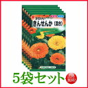 【5袋割引セット♪】【全国送料無料】 かわいいきんせんか(混合)/ トーホク 野菜 ハーブ 草花 園芸 栽培 肥料 家庭菜園 球根 苗 種まき 種子 ガーデニング ポット 松永種苗 フタバ サカタのタネ タキイ★在庫がある商品のみ12時(土日祝を除く)までのご注文で当日出荷