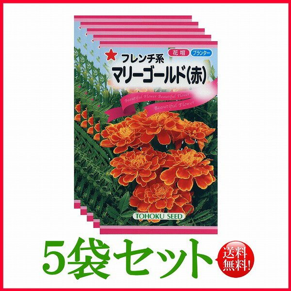 【5袋割引セット 】【全国送料無料】 フレンチ系 マリーゴールド 赤 / トーホク 野菜 ハーブ 草花 園芸 栽培 肥料 家庭菜園 球根 苗 種まき 種子 たね タネ 植物 ガーデニング フタバ サカタの…