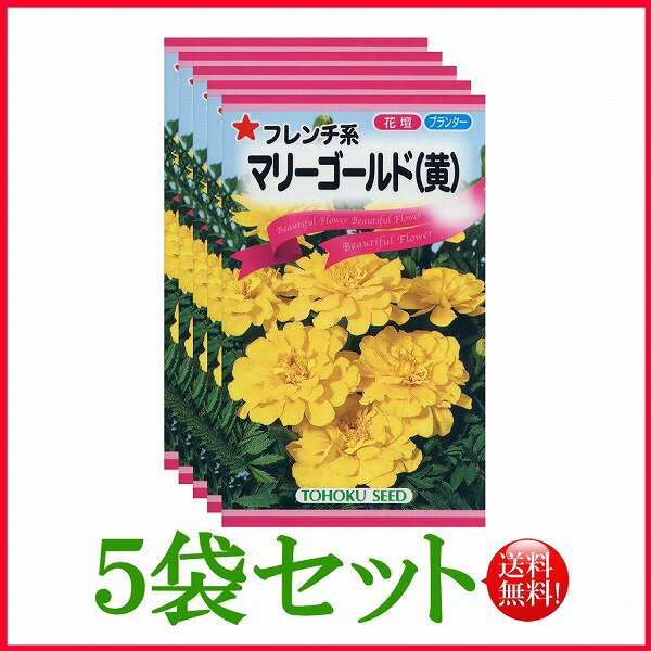 【5袋割引セット 】【全国送料無料】 フレンチ系 マリーゴールド 黄 / トーホク 野菜 ハーブ 草花 園芸 栽培 肥料 家庭菜園 種子 タネ ガーデニング ポット 松永種苗 フタバ種苗 サカタのタネ …