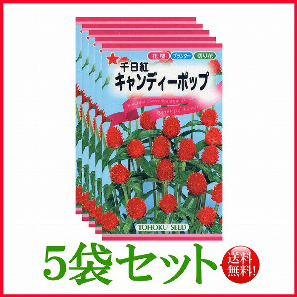 【5袋割引セット♪】【全国送料無料】 千日紅 キャンディーポップ/ トーホク 野菜 ハーブ 草花 園芸 栽培 肥料 家庭菜園 球根 苗 種まき ガーデニング ポット じょうろ 松永 フタバ サカタのタネ タキイ ★在庫がある商品のみ12時（土日祝を除く）までのご注文で当日出荷