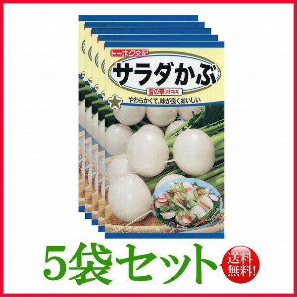 【5袋割引セット♪】【全国送料無料】サラダかぶ　雪の華 (はな) / トーホク 野菜 ハーブ 草花 園芸 栽培 肥料 家庭菜園 球根 苗 種まき 種子 たね タネ 植物 ガーデニング ポット じょうろ 土壌改良 ★在庫がある商品のみ12時（土日祝を除く）までのご注文で当日出荷