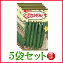 【5袋割引セット♪】【全国送料無料】ときわかぜみどり きゅうり/ トーホク 野菜 ハーブ 草花 園芸 栽培 肥料 家庭菜園 球根 苗 種まき 種子 たね タネ ...