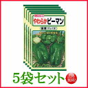 【5袋割引セット♪】【全国送料無料】やわらかピーマン 緑輝(りょくき) / トーホク 野菜 ハーブ 草花 園芸 栽培 肥料 家庭菜園 球根 ガーデニング ポット...