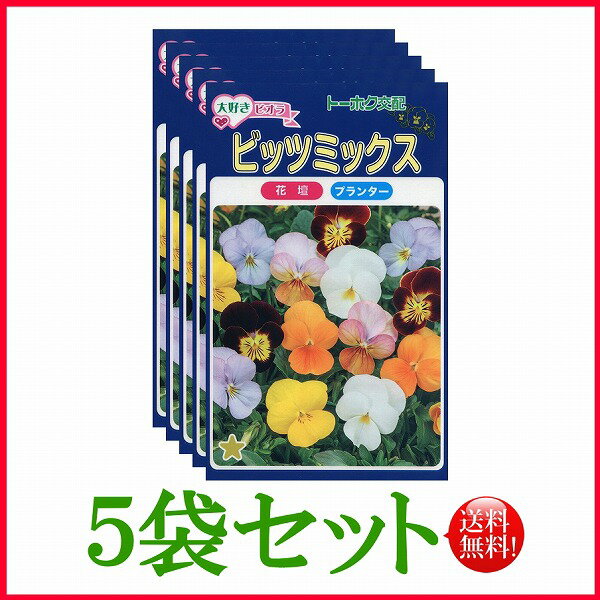 【5袋割引セット♪】【全国送料無料】 ビオラ ビッツミックス / トーホク 野菜 ハーブ 草花 園芸 栽培 肥料 家庭菜園 球根 苗 種まき たね タネ ガーデニング ポット フタバ種苗 サカタのタネ タキイ種苗 ★在庫がある商品のみ12時（土日祝を除く）までのご注文で当日出荷