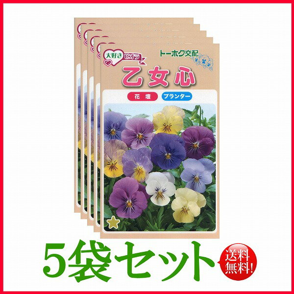 【5袋割引セット♪】【全国送料無料】 ビオラ 乙女心 / トーホク 野菜 ハーブ 草花 園芸 栽培 家庭菜園 苗 種まき たね タネ 植物 ガーデニング ポット じょうろ 松永種苗 フタバ種苗 サカタのタネ タキイ ★在庫がある商品のみ12時（土日祝を除く）までのご注文で当日出荷