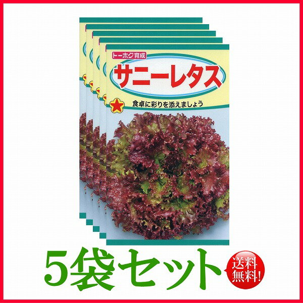 【5袋割引セット 】【全国送料無料】サニーレタス / トーホク 野菜 ハーブ 草花 園芸 栽培 肥料 家庭菜園 球根 苗 種まき 種子 たね ガーデニング ポット じょうろ フタバ種苗 サカタのタネ タ…