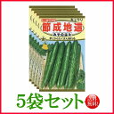 【5袋割引セット♪】【全国送料無料】節成地這 みやのはた きゅうり / トーホク 野菜 ハーブ 草花 園芸 栽培 肥料 家庭菜園 球根 苗 種まき 種子 たね ...