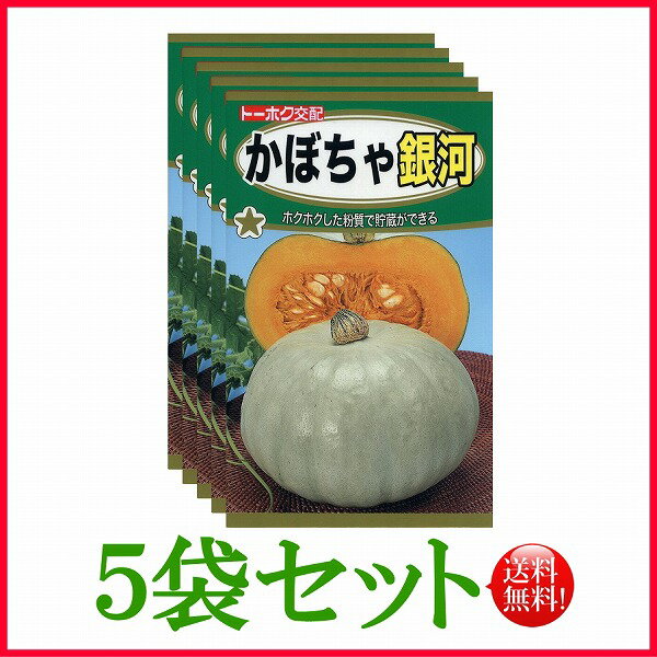 【5袋割引セット 】【全国送料無料】かぼちゃ 銀河/ トーホク 野菜 ハーブ 草花 園芸 栽培 肥料 家庭菜園 球根 苗 種まき 種子 たね タネ 植物 ガーデニング 培養土 ポット じょうろ 連作障害…