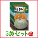 【5袋割引セット♪】【全国送料無料】かぼちゃ 銀河/ トーホク 野菜 ハーブ 草花 園芸 栽培 肥料 家庭菜園 球根 苗 種まき 種子 たね タネ 植物 ガーデ...