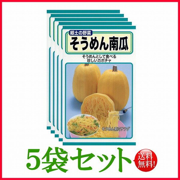 【5袋割引セット♪】【全国送料無料】そうめん南瓜 かぼちゃ / トーホク 野菜 ハーブ 草花 園芸 栽培 肥料 家庭菜園 球根 苗 種まき 種子 たね タネ 植物 ガーデニング 培養土 ポット じょうろ 連作障害対策 ★在庫がある商品のみ12時（土日祝を除く）までのご注文で当日出荷