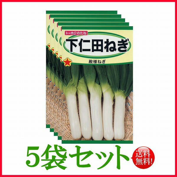 下仁田ねぎ　/ トーホク 野菜 ハーブ 草花 園芸 栽培 肥料 家庭菜園 球根 苗 種まき 種子 たね タネ 植物 ガーデニング ポット じょうろ フタバ サカタのタネ タキイ★在庫がある商品のみ12時（土日祝を除く）までのご注文で当日出荷