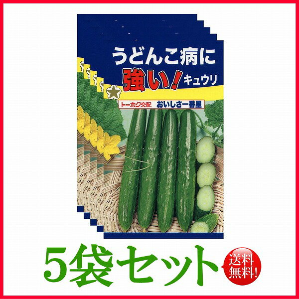 【5袋割引セット♪】【全国送料無料】うどんこ病に強い！キュウリおいしさ一番星　きゅうり/ トーホク 野菜 ハーブ 草花 園芸 栽培 肥料 家庭菜園 球根 苗 種まき 種子 たね タネ 植物 ガーデニング ★在庫がある商品のみ12時（土日祝を除く）までのご注文で当日出荷