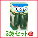 【5袋割引セット♪】【全国送料無料】くろ瓜 / トーホク 野菜 ハーブ 草花 園芸 栽培 肥料 家庭菜園 球根 苗 種まき 種子 たね タネ ガーデニング 培養...