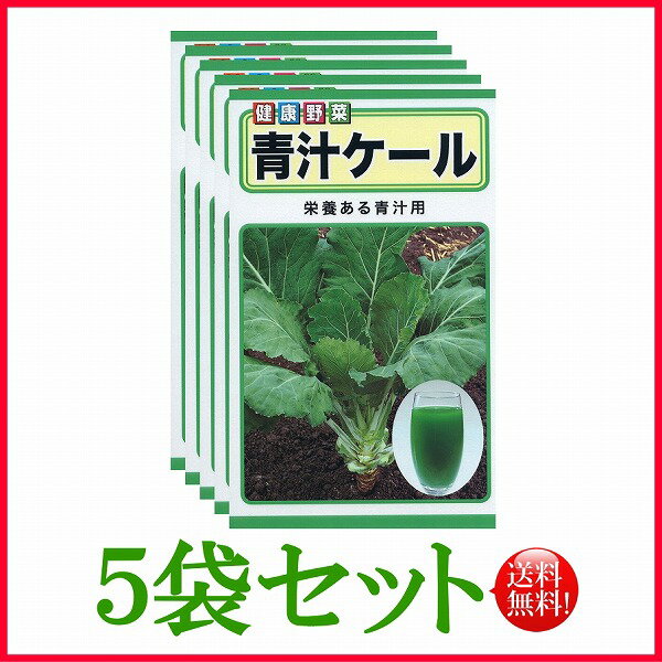 【5袋割引セット♪】【全国送料無料】青汁ケール/ トーホク 野菜 ハーブ 草花 園芸 栽培 肥料 家庭菜園 球根 苗 種まき 種子 たね タネ 植物 ガーデニング 培養土 ポット じょうろ 連作障害対策 土壌改良★在庫がある商品のみ12時（土日祝を除く）までのご注文で当日出荷