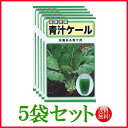 【5袋割引セット 】【全国送料無料】青汁ケール/ トーホク 野菜 ハーブ 草花 園芸 栽培 肥料 家庭菜園 球根 苗 種まき 種子 たね タネ 植物 ガーデニング 培養土 ポット じょうろ 連作障害対策…