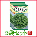 【5袋割引セット♪】【全国送料無料】ちりめんちしゃ / トーホク 野菜 ハーブ 草花 園芸 栽培 肥料 家庭菜園 球根 苗 種まき 種子 たね タネ 植物 ガー...