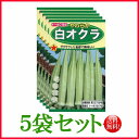 【5袋割引セット♪】【全国送料無料】やわらか白オクラ/ トーホク 野菜 ハーブ 草花 園芸 栽培 肥料 家庭菜園 球根 苗 種まき 種子 たね タネ 植物 ガー...