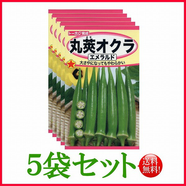 【5袋割引セット♪】【全国送料無料】丸莢オクラ　エメラルド/ トーホク 野菜 ハーブ 草花 園芸 栽培 肥料 家庭菜園 球根 苗 種まき 種子 たね タネ 植物 ガーデニング ポット じょうろ 連作障害 土壌改良 ★在庫がある商品のみ12時（土日祝を除く）までのご注文で当日出荷