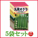 【5袋割引セット♪】【全国送料無料】丸莢オクラ エメラルド/ トーホク 野菜 ハーブ 草花 園芸 栽培 肥料 家庭菜園 球根 苗 種まき 種子 たね タネ 植物...
