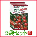【5袋割引セット♪】【全国送料無料】ミニトマト チェリーメイト/ トーホク 野菜 ハーブ 草花 園芸 栽培 肥料 家庭菜園 球根 苗 種まき ガーデニング じょうろ 松永種苗 フタバ種苗 サカタのタネ タキイ★在庫がある商品のみ12時(土日祝を除く)までのご注文で当日出荷