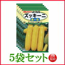 【5袋割引セット♪】【全国送料無料】よくなるズッキーニ 黄坊(きぼう)/ トーホク 野菜 ハーブ 草花 園芸 栽培 肥料 家庭菜園 球根 苗 種まき 種子 ガー...