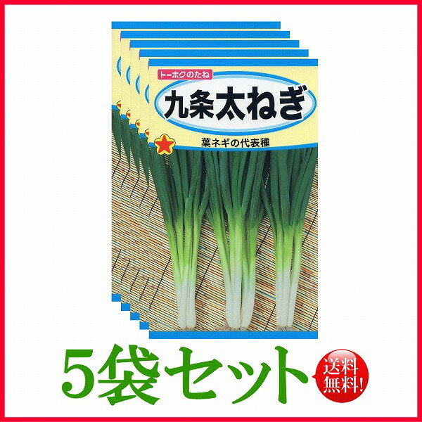 【5袋割引セット♪】【全国送料無料】九条太ねぎ　/ トーホク 野菜 ハーブ 草花 園芸 栽培 肥料 家庭菜園 球根 苗 種まき 種子 たね タネ 植物 ガーデニング じょうろ フタバ種苗 サカタのタネ タキイ種苗 ★在庫がある商品のみ12時（土日祝を除く）までのご注文で当日出荷