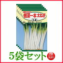 【5袋割引セット♪】【全国送料無料】根深一本太ねぎ 白扇(はくせん) / トーホク 野菜 ハーブ 草花 園芸 栽培 肥料 家庭菜園 球根 苗 種まき 種子 たね...