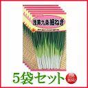 【5袋割引セット 】【全国送料無料】浅黄九条細ねぎ トーホク 野菜 ハーブ 草花 園芸 栽培 肥料 家庭菜園 球根 苗 種まき 種子 たね ガーデニング じょうろ 松永種苗 フタバ種苗 サカタのタネ タキイ 在庫がある商品のみ12時 土日祝を除く までのご注文で当日出荷