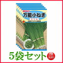 万能小ねぎ　スリム　/ トーホク 野菜 ハーブ 草花 園芸 栽培 肥料 家庭菜園 球根 苗 種まき 種子 たね ガーデニング じょうろ 松永種苗 フタバ種苗 サカタのタネ タキイ★在庫がある商品のみ12時（土日祝を除く）までのご注文で当日出荷