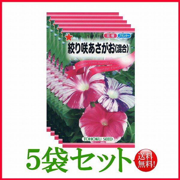 【5袋割引セット♪】【全国送料無料】 絞り咲あさがお（混合）/ トーホク 野菜 ハーブ 草花 園芸 栽培 肥料 家庭菜園 球根 苗 種子 たね タネ ガーデニング ポット じょうろ フタバ種苗 サカタのタネ タキイ★在庫がある商品のみ12時（土日祝を除く）までのご注文で当日出荷