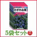 【5袋割引セット♪】【全国送料無料】 わすれな草/ トーホク 野菜 ハーブ 草花 園芸 栽培 肥料 家庭菜園 球根 尾崎豊 種子 たね タネ 植物 ガーデニング ポット じょうろ 松永 フタバ サカタのタネ タキイ★在庫がある商品のみ12時（土日祝を除く）までのご注文で当日出荷