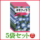 【5袋割引セット♪】【全国送料無料】 ネモフィラ/ トーホク 野菜 ハーブ 草花 園芸 栽培 肥料 家庭菜園 球根 苗 種子 たね ガーデニング 培養土 ポット...