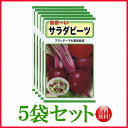【5袋割引セット♪】【全国送料無料】あま〜い サラダビーツ/ トーホク 野菜 ハーブ 草花 園芸 栽培 肥料 家庭菜園 球根 苗 種まき 種子 たね 植物 ガー...