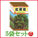 【5袋割引セット♪】【全国送料無料】紅菜苔　（コウサイタイ）/ トーホク 野菜 ハーブ 草花 園芸 栽培 肥料 家庭菜園 球根 苗 種まき 種子 たね タネ 植物 ガーデニング フタバ種苗 サカタのタネ タキイ種苗★在庫がある商品のみ12時（土日祝を除く）までのご注文で当日出荷