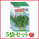 【5袋割引セット♪】【全国送料無料】つるむらさき(青茎)/ トーホク 野菜 ハーブ 草花 園芸 栽培 肥料 家庭菜園 球根 苗 種まき タネ 植物 ガーデニング...